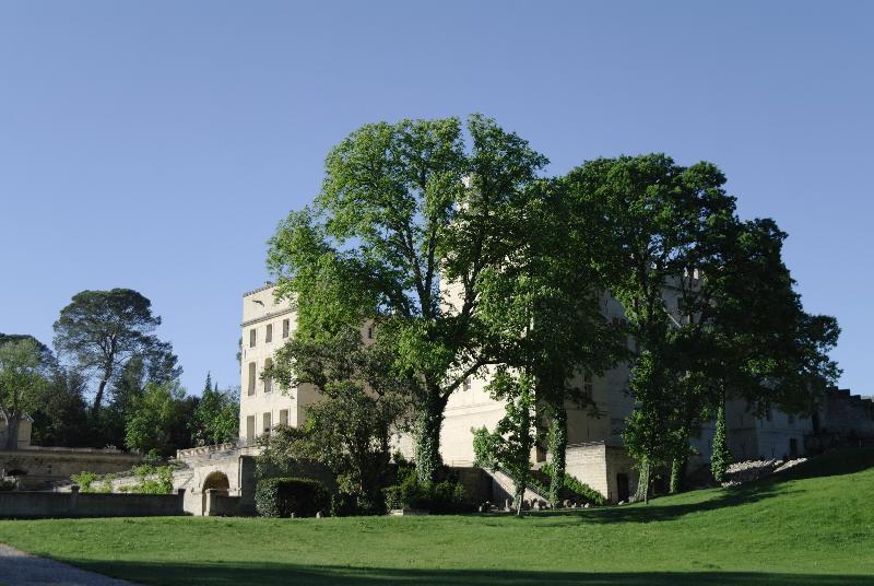 Chateau De Pondres Villevieille Екстериор снимка